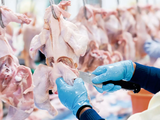 El pollo lidera el consumo de carnes en Argentina
