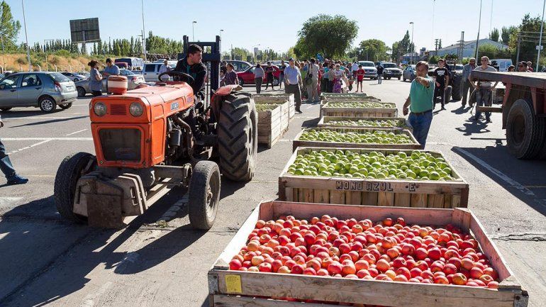 Extienden un año más la emergencia frutícola para productores de peras y manzanas
