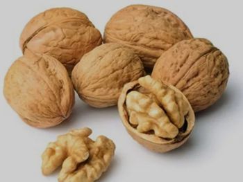 las nueces que se exportan desde la patagonia mas austral al mundo