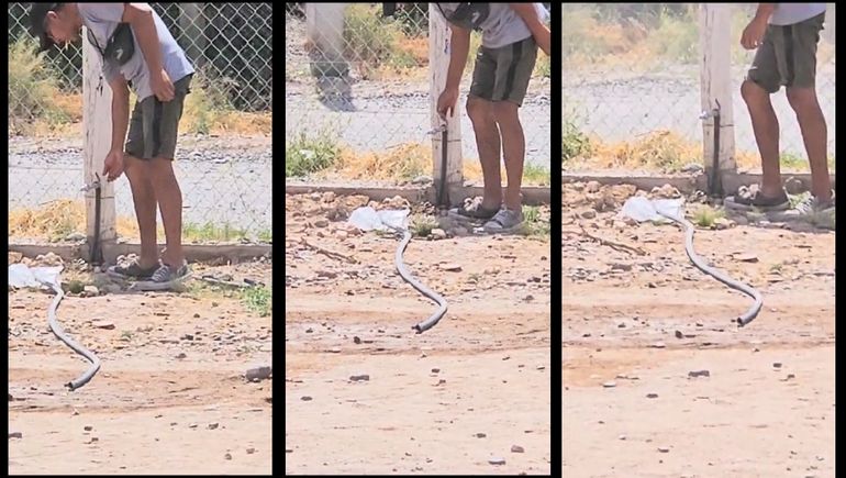 La ola de calor en Ruca Antú: les donaron una pelopincho, pero no tienen agua