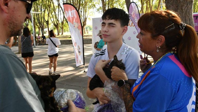 La alegría de 40 animalitos que ya tienen un hogar