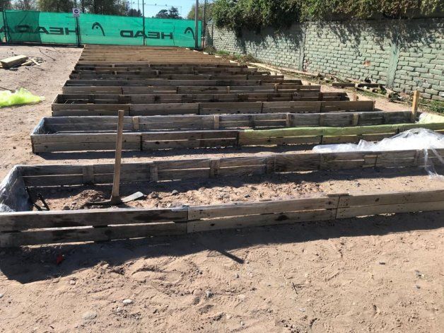 Las huertas del PRODA en el Tenis Club