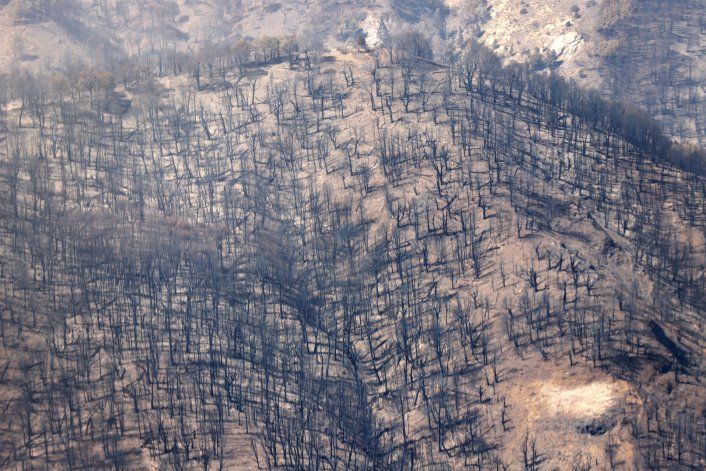 Extienden por decreto el estado de emergencia tras el incendio en Parque Nacional Lanín