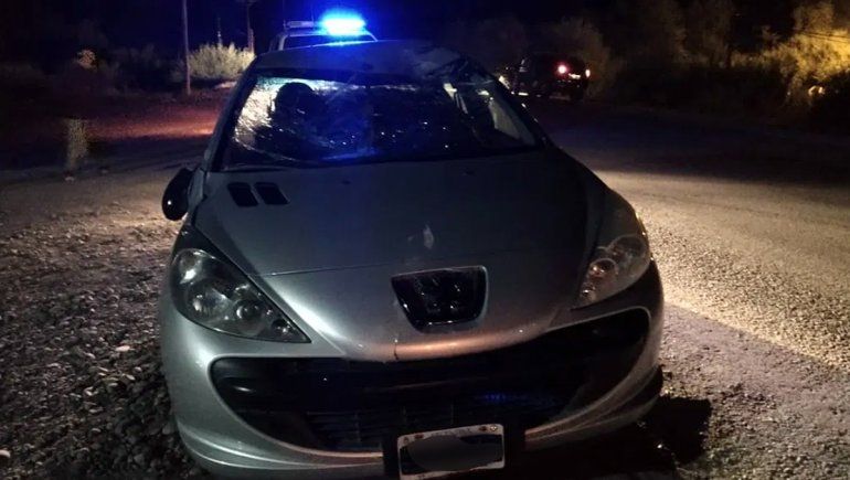 El caballo impactó en el parabrisas del auto.