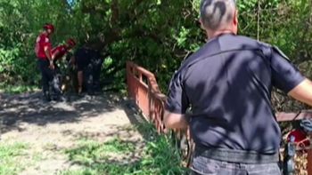 La dueña del perro habló sobre el momento en el que descubrió lo que tenía la bolsa. La dueña del perro habló sobre el momento en el que descubrió lo que tenía la bolsa.