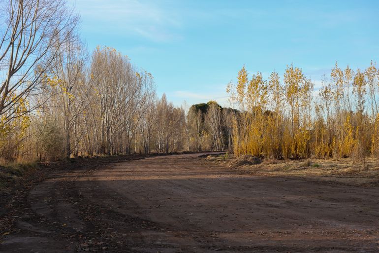 La chacra está ubicada en el portal de ingreso a Neuquén por el dique Ballester. La chacra está ubicada en el portal de ingreso a Neuquén por el dique Ballester.