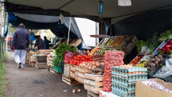 imagen de archivo imagen de archivo