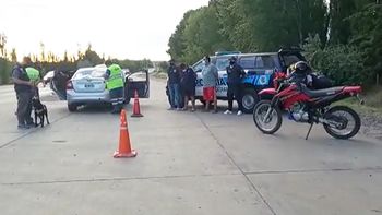 video: atraparon a dos narcos con un ladrillo de marihuana video: atraparon a dos narcos con un ladrillo de marihuana