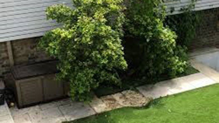 Un cadáver cayó del cielo cuando estaba tomando sol