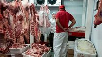 decomisaron 650 kilos de carne en mal estado en carnicerias de plottier