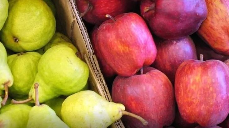Peras y manzanas, frutas buenas para el cerebro. Peras y manzanas, frutas buenas para el cerebro.