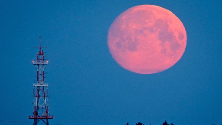 Se viene la Luna de Fresa y llega con una sorpresa astronómica. Se viene la Luna de Fresa y llega con una sorpresa astronómica.