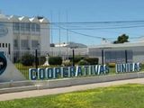 SanCor despidió a 300 empleados de sus plantas de Santa Fe y Córdoba: el motivo
