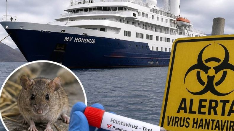 Autoridades africanas prohiben el desemabarco del crucero por temor a que se propage el hantavirus. | LM Neuquen Autoridades africanas prohiben el desemabarco del crucero por temor a que se propage el hantavirus.