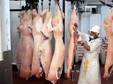 La mayor empresa de alimentos de España adquirió participación en el ecosistema porcino de Grupo Pacuca y busca expandir el negocio exportador desde Argentina. La mayor empresa de alimentos de España adquirió participación en el ecosistema porcino de Grupo Pacuca y busca expandir el negocio exportador desde Argentina.