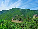 Expansión forestal en China aumenta área verde en 226 mil km², pero reduce disponibilidad de agua en -0.46 mm/año nacionalmente.