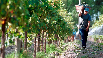 Diferentes entidades presentarán una acción de amparo colectivo ante la Justicia Federal. Foto: ACOVI | LM Neuquen Diferentes entidades presentarán una acción de amparo colectivo ante la Justicia Federal. Foto: ACOVI