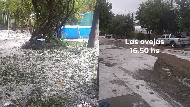 Otro fenómeno climático castigó al Norte neuquino