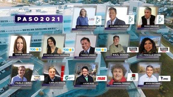 ¿Quiénes son los candidatos para las PASO en Neuquén?