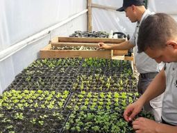 proda cumplio 22 anos, ¿cual es el balance? proda cumplio 22 anos, ¿cual es el balance?