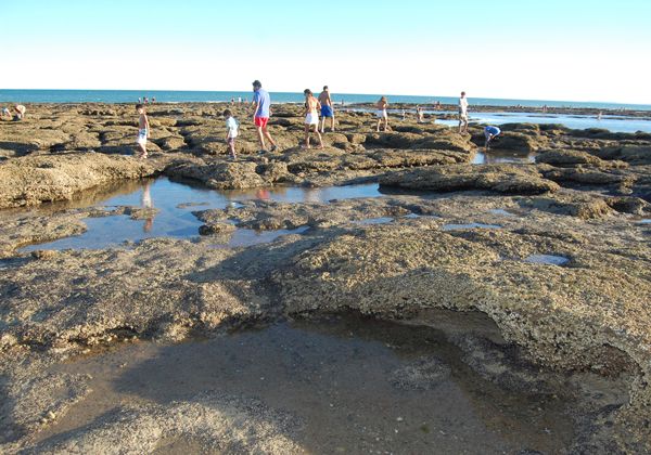 Una travesía para conocer los secretos que esconde el mar