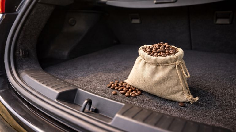Una manera de aprovechar este truco casero es dejando los granos de café en el baúl del auto. Una manera de aprovechar este truco casero es dejando los granos de café en el baúl del auto.