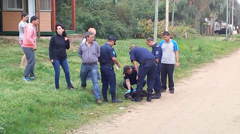 Asesinó al perro de su vecino porque lo encontró en su patio
