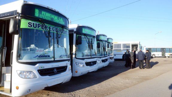 Las nuevas unidades de colectivos de la empresa Pehuenche todavía no pudieron debutar.
