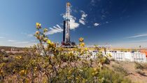 Vista Energy registró un fuerte crecimiento operativo con presión financiera por inversiones.