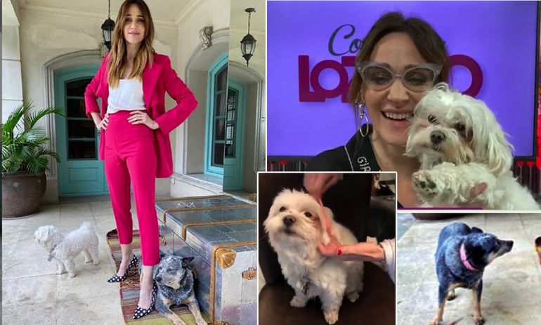 Viral: estos son los perros del equipo de Vero Lozano en Telefe