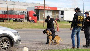 peluquero narco pasara cinco anos preso por 4 kilos de droga peluquero narco pasara cinco anos preso por 4 kilos de droga