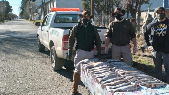 Pesca indiscriminada: secuestran 31 truchas y las donan a un comedor