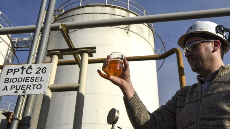 Le sacan el jugo: el bioetanol tendrá una producción récord