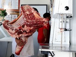 En 2025 SENASA permitió el ingreso de carne con hueso a la Patagonia, poniendo fin a años de barrera sanitaria. En 2025 SENASA permitió el ingreso de carne con hueso a la Patagonia, poniendo fin a años de barrera sanitaria.