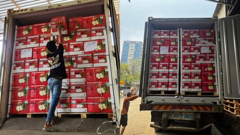 Furor en India por las manzanas chilenas: se agotan en minutos