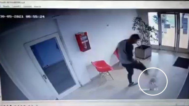 El video circula en Twitter generando gran indignación