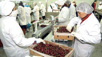 para que exporten: forman a pymes de alimentos y bebidas