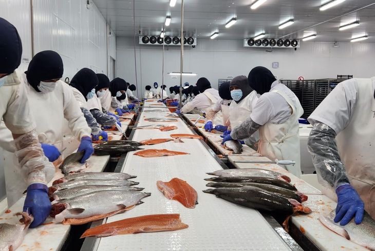 Es la primera vez que un establecimiento de Norpatagonia puede exportar productos acuícolas hacia ese destino Es la primera vez que un establecimiento de Norpatagonia puede exportar productos acuícolas hacia ese destino