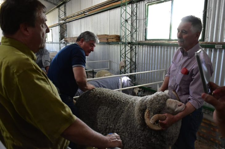 El gobernador de Río Negro recorrió la expo. Foto: gentileza Fabricio González. El gobernador de Río Negro recorrió la expo. Foto: gentileza Fabricio González.