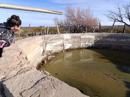 En la estepa rionegrina, la caída del 50% en las precipitaciones profundiza la marginalidad histórica y pone en riesgo el acceso al agua en comunidades rurales. En la estepa rionegrina, la caída del 50% en las precipitaciones profundiza la marginalidad histórica y pone en riesgo el acceso al agua en comunidades rurales.