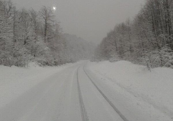 Vialidad Provincial informó que seis rutas se encuentran instransitables, incluida la 242 en el Paso Pino Hachado.