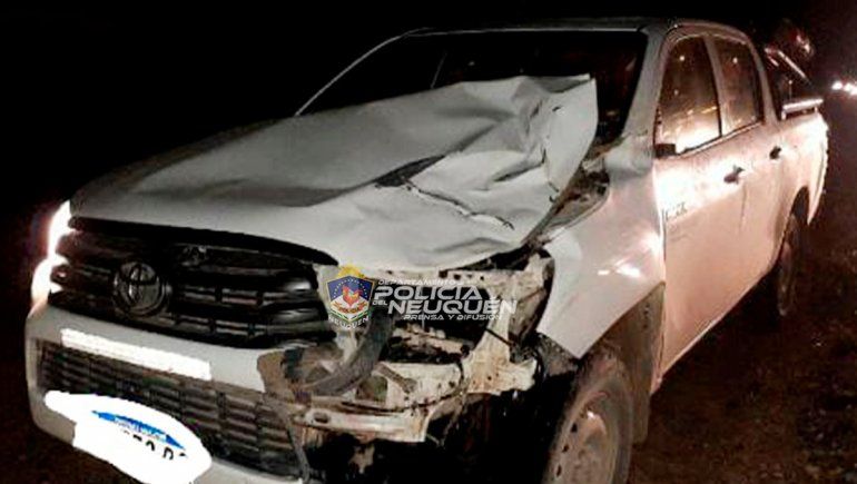 Vista Alegre: choque entre una camioneta y un caballo