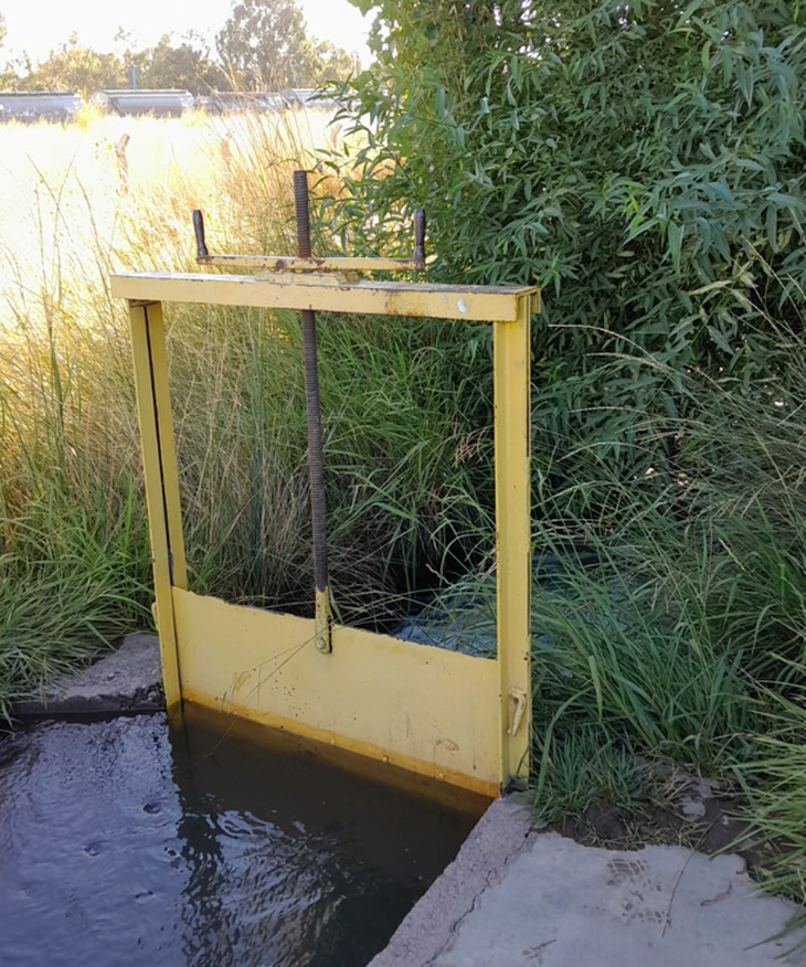 Graciela tiene más de 30 años cuidando el sistema de riego de Neuquén. Foto: gentileza. Graciela tiene más de 30 años cuidando el sistema de riego de Neuquén. Foto: gentileza.