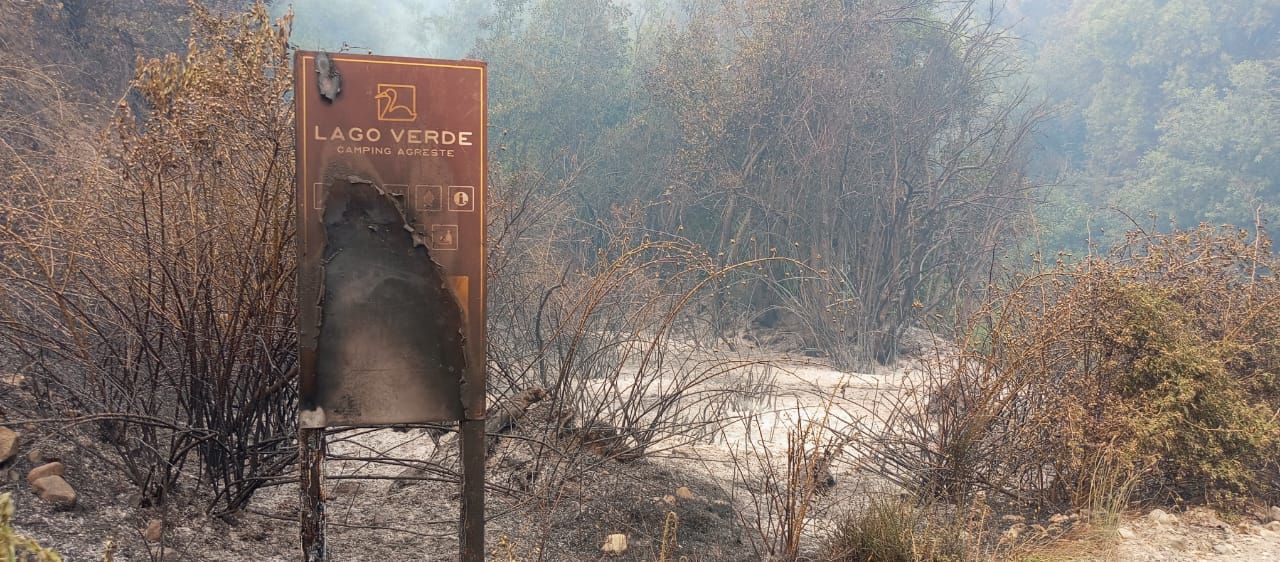 El incendio forestal afectó varias hectáreas en el Parque Nacional Los Alerces.