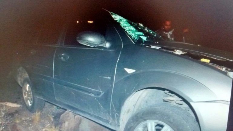 El parabrisas quedó destruido por el impacto del caballo.&nbsp;