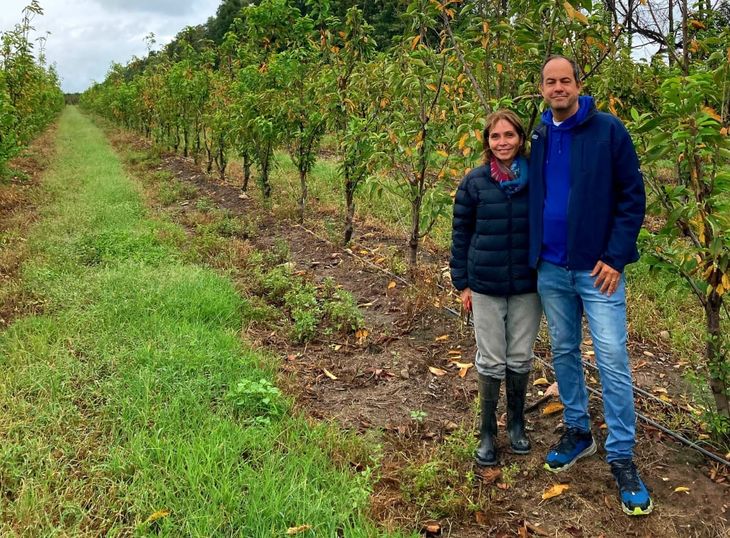 El Ing. Agr. Nicolás Güizzo se encuentra junto a la Dra. Viviana Curzel, docente e investigadora de la Facultad de Ciencias Agrarias de la UNJu, en la Finca Machuca, Monterrico, Jujuy. El Ing. Agr. Nicolás Güizzo se encuentra junto a la Dra. Viviana Curzel, docente e investigadora de la Facultad de Ciencias Agrarias de la UNJu, en la Finca Machuca, Monterrico, Jujuy.