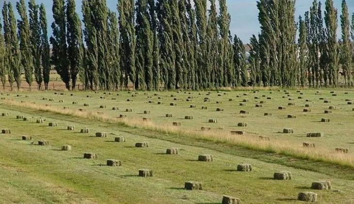 El objetivo es aumentar las exportaciones. Foto: gentileza El objetivo es aumentar las exportaciones. Foto: gentileza