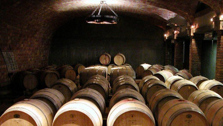 Los vinos de la Patagonia ya se defienden en Europa