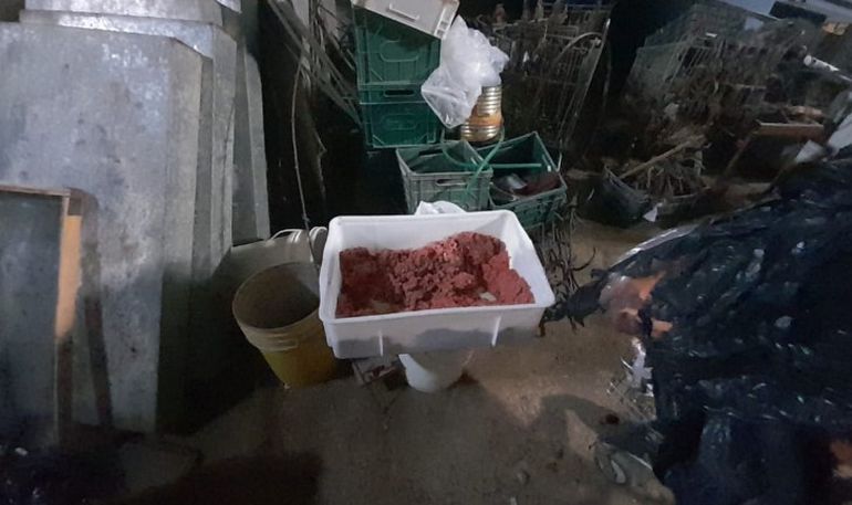 Carne en mal estado en una fábrica de chacinados de Trelew Carne en mal estado en una fábrica de chacinados de Trelew