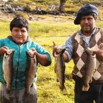 Una familia dedicada a la cría de truchas. | LM Neuquen Una familia dedicada a la cría de truchas.